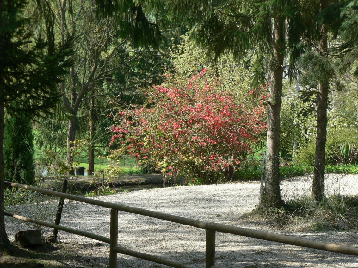 Etangs Du Moulin Ξενοδοχείο Suzy Δωμάτιο φωτογραφία